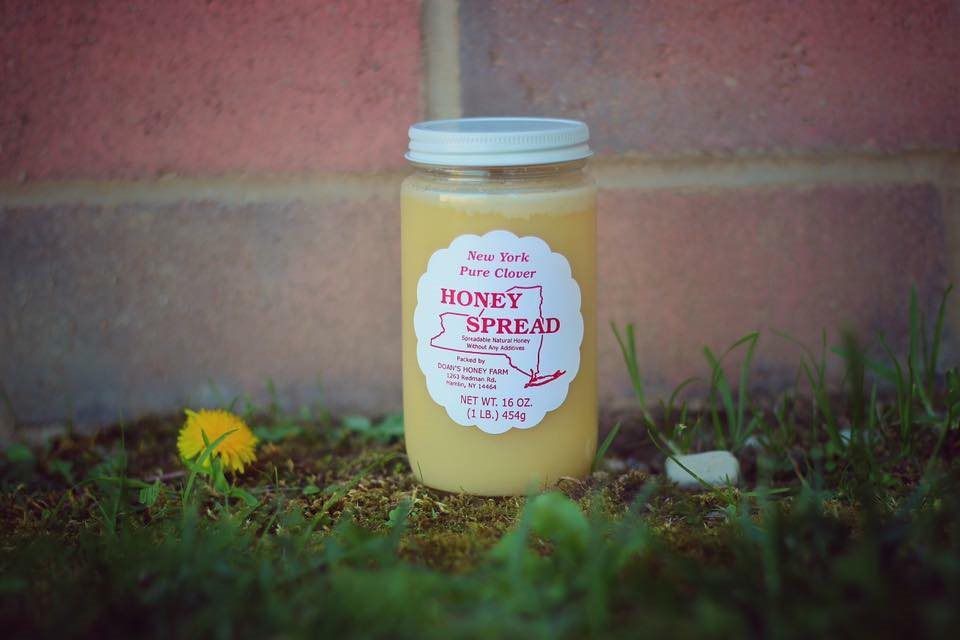  Does Raw Honey Crystallize Seybold on Dunson Road Davenport FL